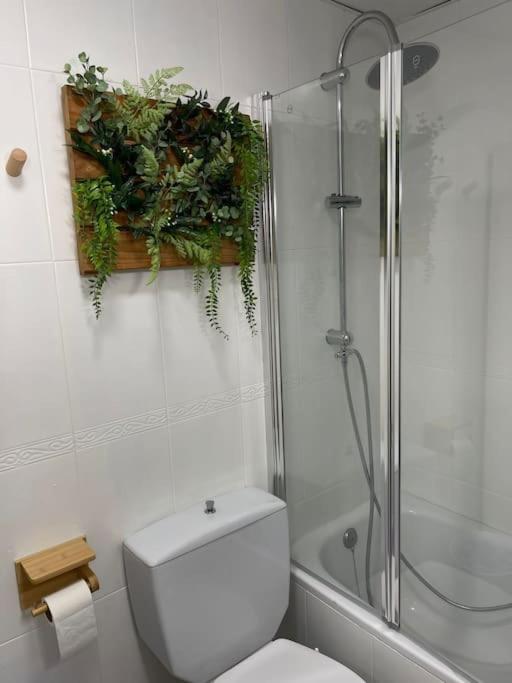 Apartamento Oasis